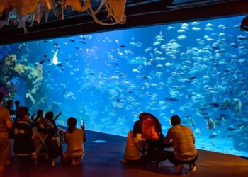 AQUARIA PHUKET 2