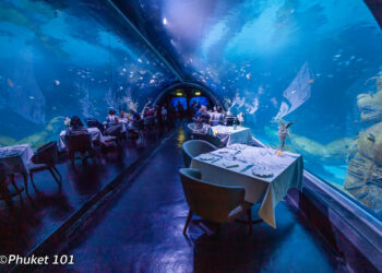 AQUARIA PHUKET 3