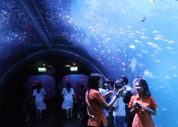 AQUARIA PHUKET 5