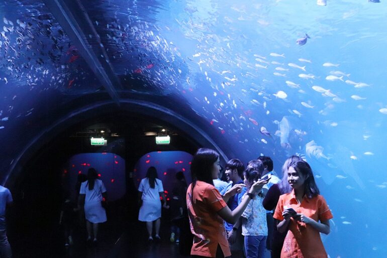 AQUARIA PHUKET 5