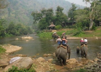 MAE TAENG ELEPHANT PARK 4