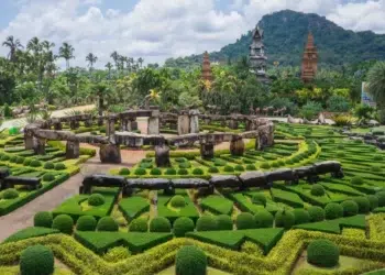 NONG NOOCH PEEGO TRAVEL 1