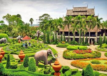 NONG NOOCH PEEGO TRAVEL 3