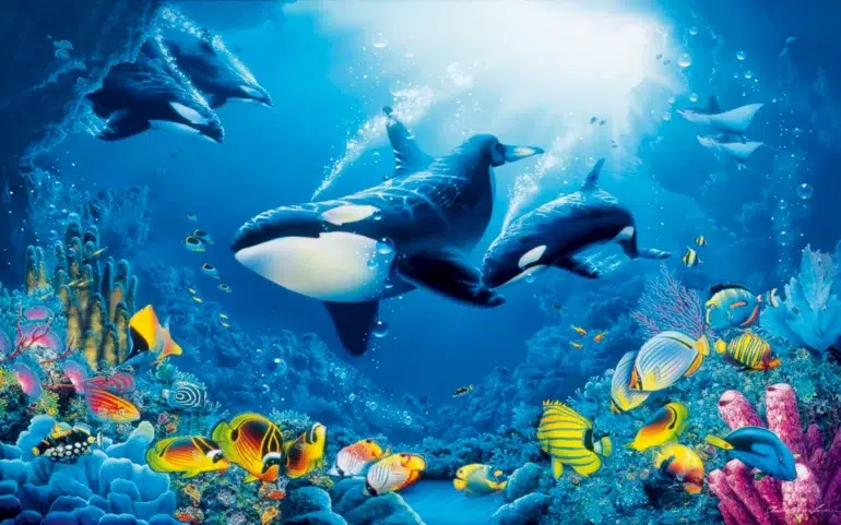 Underwater world coral reef colorful fish marine fauna with ocean Orcas killer whales scaled