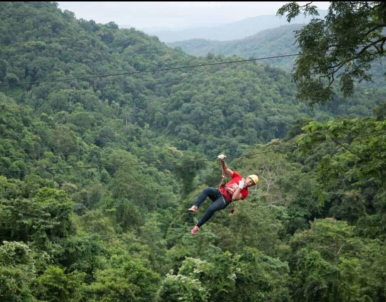 Zipline Peego 4