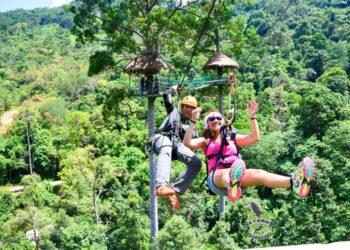 Zipline Peego 5 1